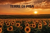 TERRE DI PISA prodotto turistico del territorio rurale pisano